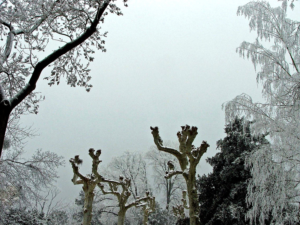 Fonds d'cran Nature Saisons - Hiver Saison d'hiver