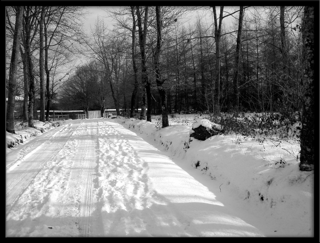 Wallpapers Nature Saisons - Winter Route enneige