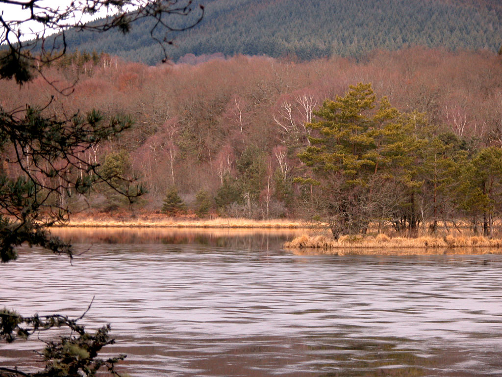 Fonds d'cran Nature Couchers et levers de Soleil Etang de Ganezande