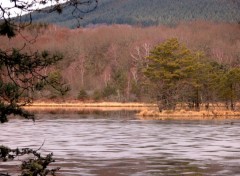 Fonds d'cran Nature Etang de Ganezande