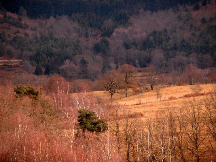 Fonds d'cran Voyages : Europe France > Limousin Dans Les Mondires