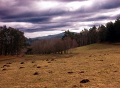 Fonds d'cran Nature Dans les Mondires