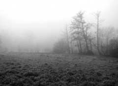 Fonds d'cran Nature Brouillard matinal (suite)