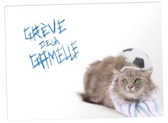 Fonds d'cran Animaux greve de la gamelle