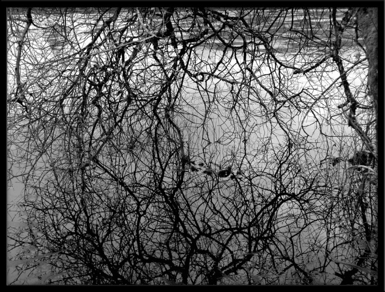 Fonds d'cran Nature Eau - Reflets Reflets trompeurs 3