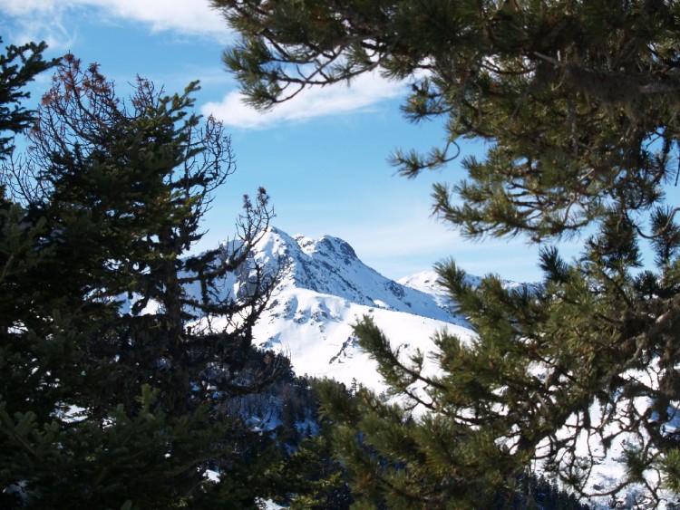 Fonds d'cran Nature Montagnes Soleil entre les Arbres de Ax Bonascre