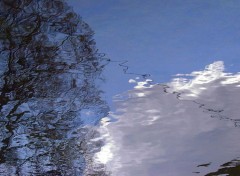 Wallpapers Nature Reflets