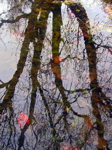 Wallpapers Nature Water - Reflection Reflets