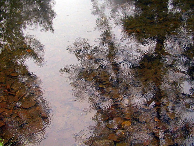 Wallpapers Nature Water - Reflection Reflets