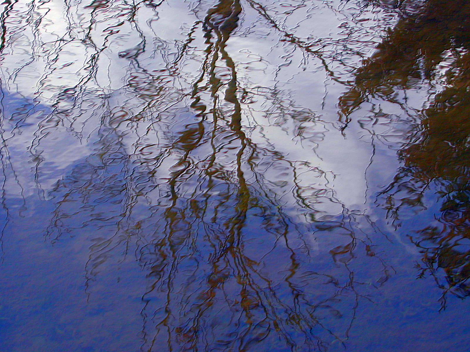 Wallpapers Nature Water - Reflection Reflets