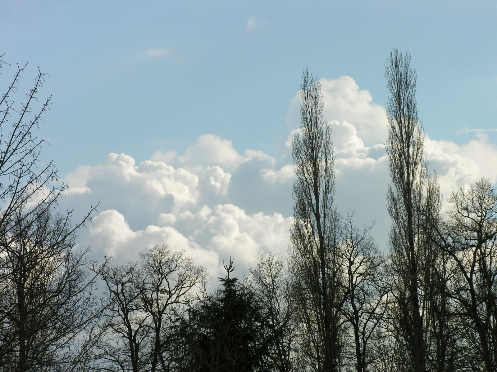 Wallpapers Nature Skies - Clouds 