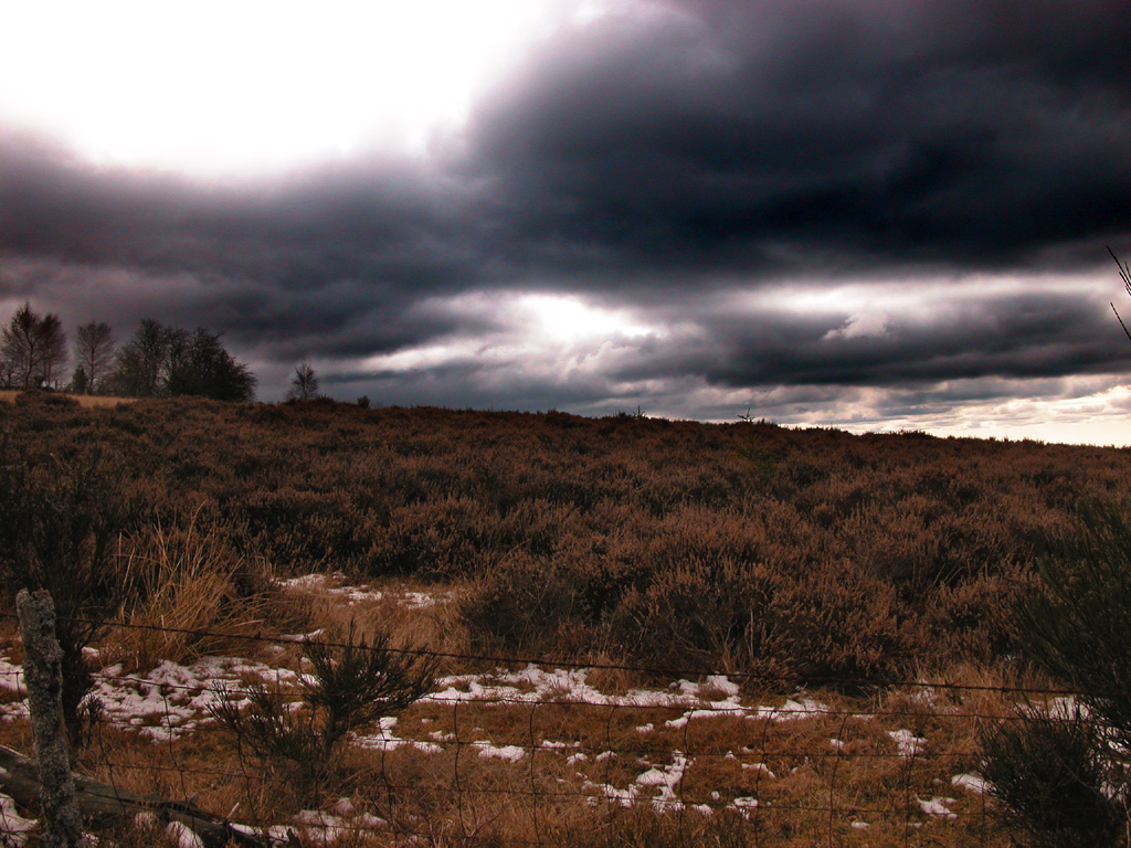 Wallpapers Nature Fields Mondires