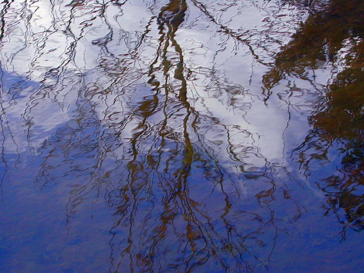 Wallpapers Nature Water - Reflection Reflets