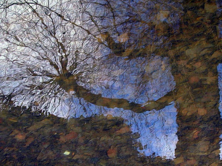 Wallpapers Nature Water - Reflection Reflets