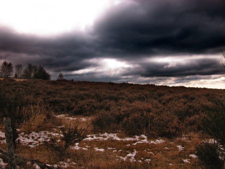 Fonds d'cran Nature Champs - Prairies Mondires