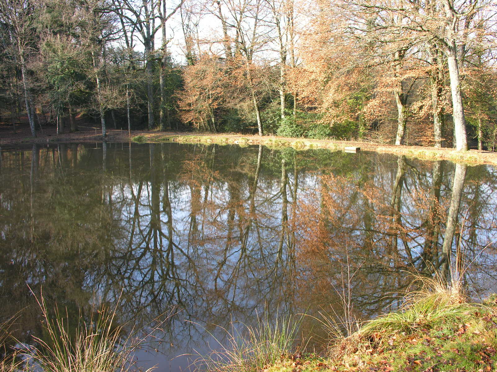 Fonds d'cran Nature Eau - Reflets 