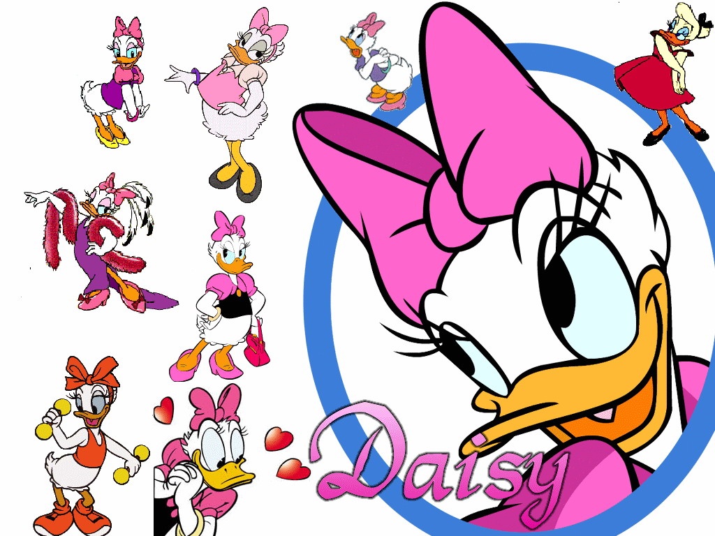 Fonds d'cran Dessins Anims Donald and Cie daisy