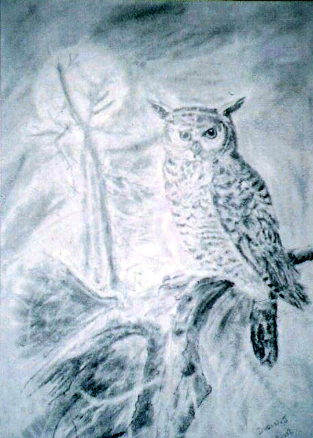 Wallpapers Art - Pencil Animals - Birds - Raptors hibou au clair de lune