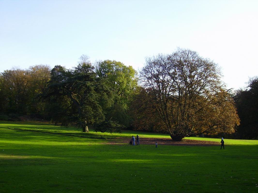 Fonds d'cran Nature Parcs - Jardins Automne au parc