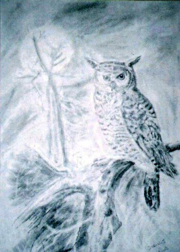 Fonds d'cran Art - Crayon Animaux - Oiseaux - Rapaces hibou au clair de lune