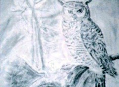 Fonds d'cran Art - Crayon hibou au clair de lune