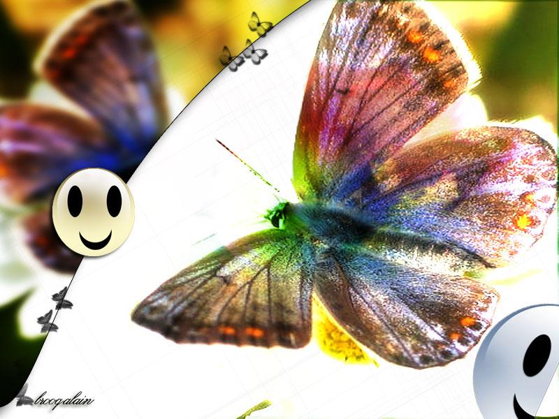 Wallpapers Digital Art Animals Happy papillon