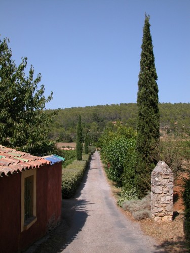 Wallpapers Trips : Europ France > Provence-Alpes-Cte d'Azur Chemin de campagne