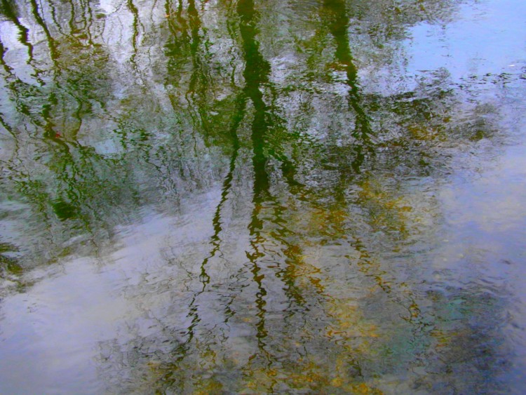 Wallpapers Nature Water - Reflection Reflets