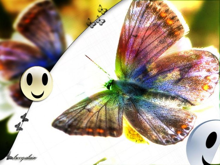 Fonds d'cran Art - Numrique Animaux Happy papillon