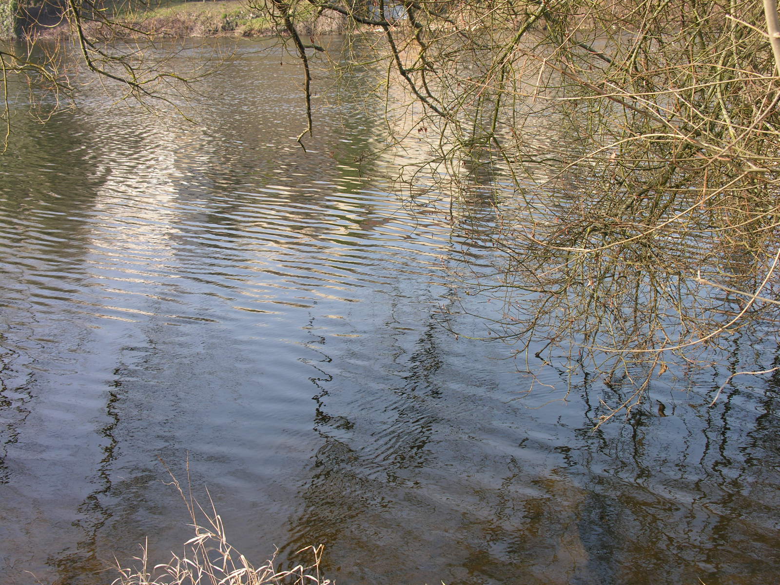 Fonds d'cran Nature Eau - Reflets 