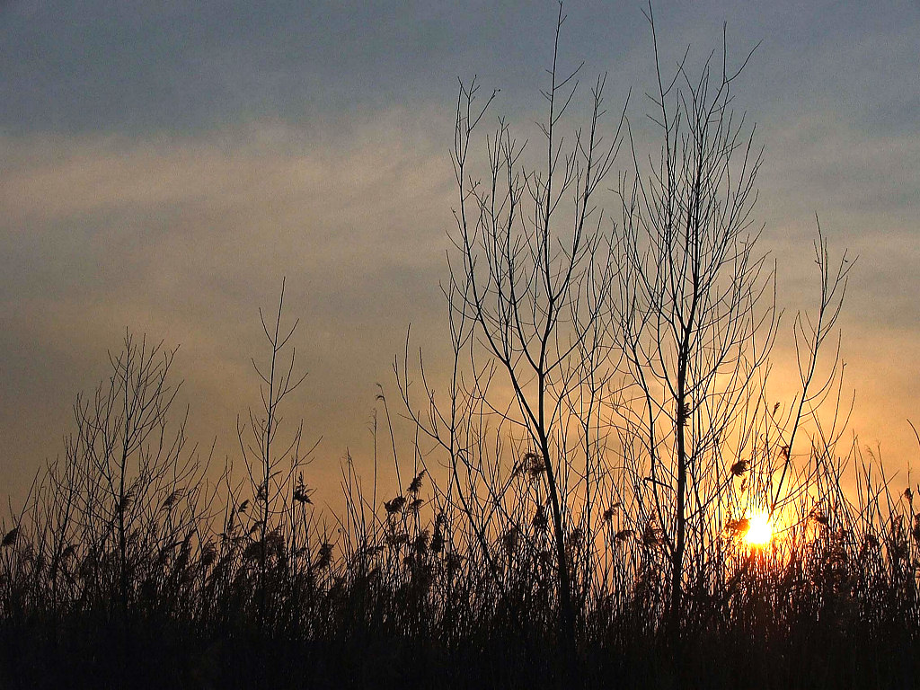 Fonds d'cran Nature Couchers et levers de Soleil Soleil couchant...