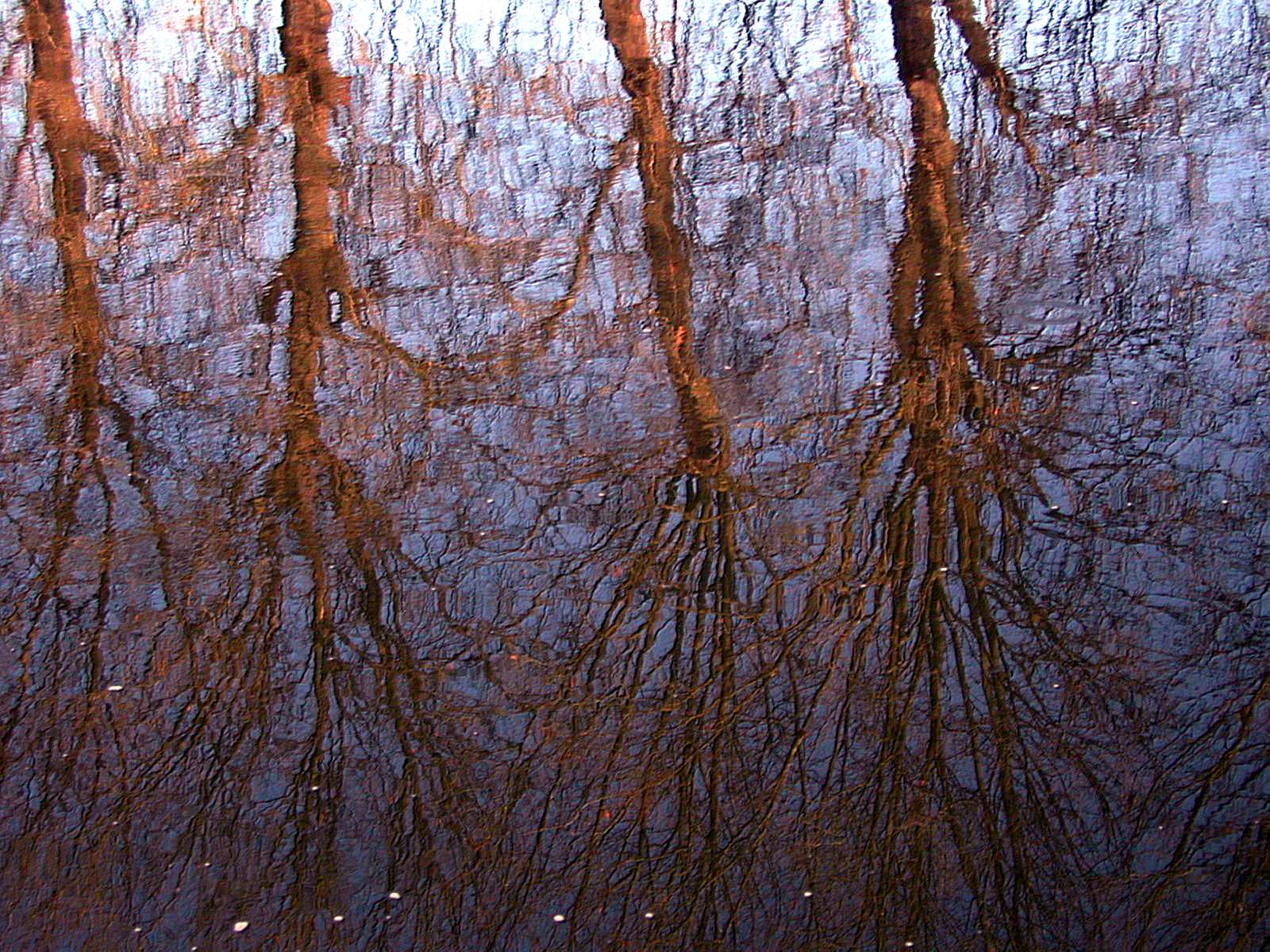 Wallpapers Nature Water - Reflection Reflets