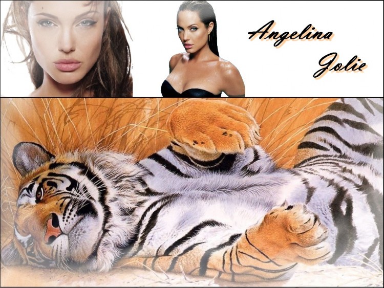 Wallpapers Celebrities Women Angelina Jolie Angelina Jolie