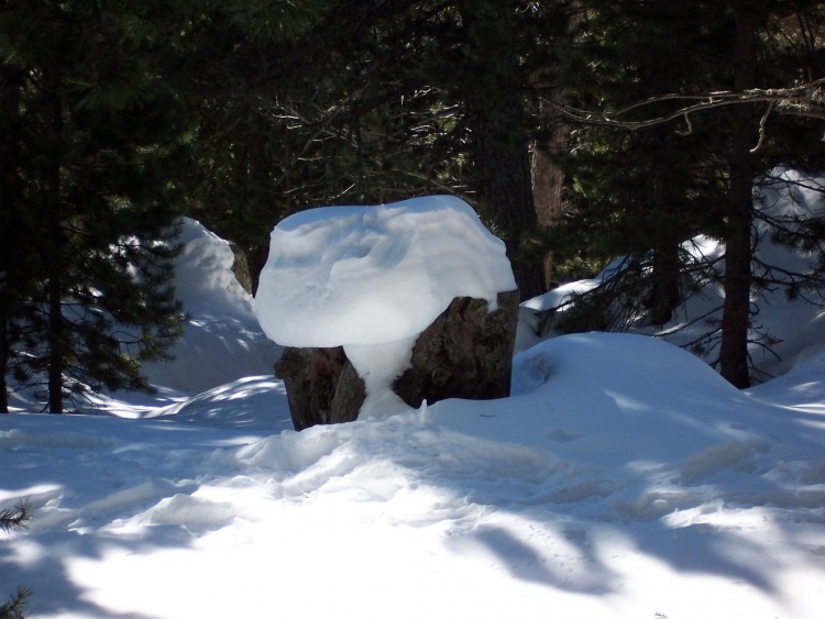 Fonds d'cran Nature Saisons - Hiver Rocher enneig