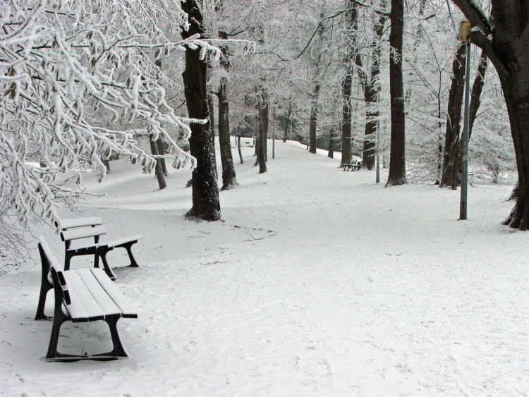 Fonds d'cran Nature Saisons - Hiver Saison d'hiver