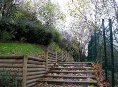 Fonds d'cran Nature Parc Jean Moulin  Bagnolet