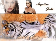 Wallpapers Celebrities Women Angelina Jolie