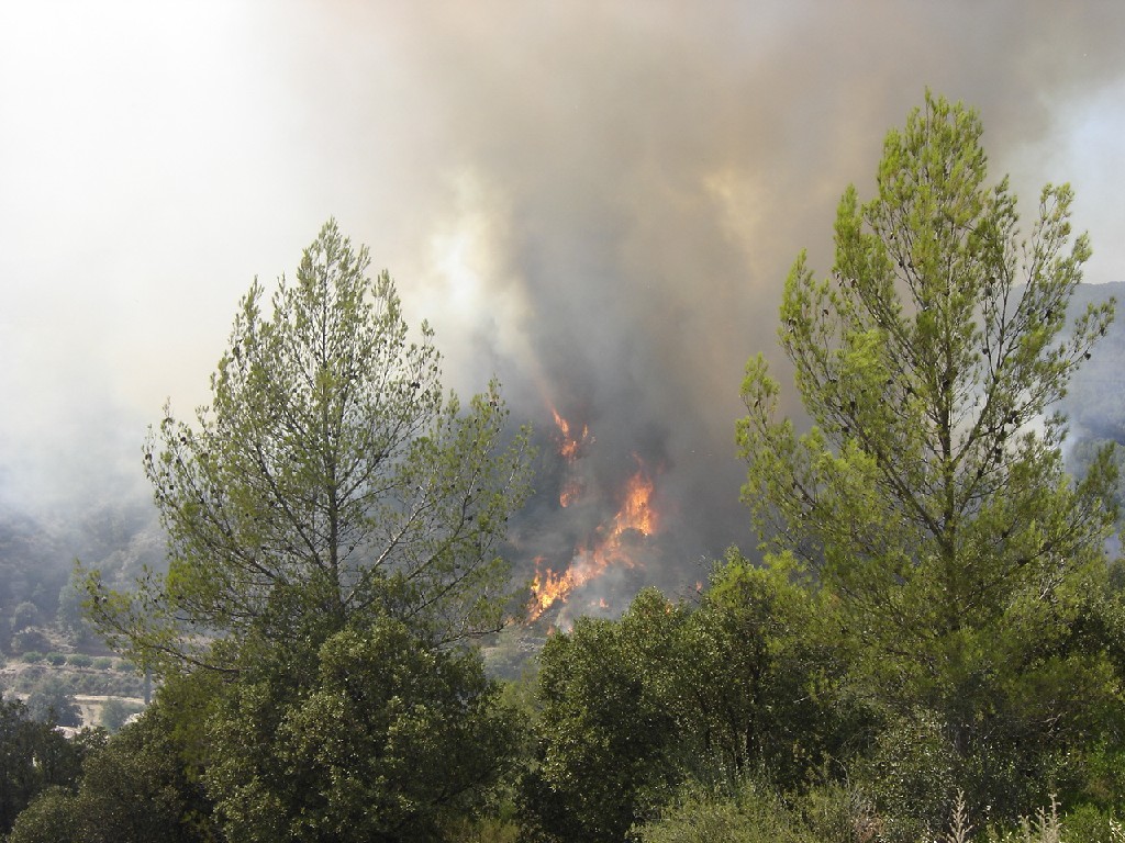 Wallpapers Nature Fires Incendie  Taradeau le 19 juillet 2005