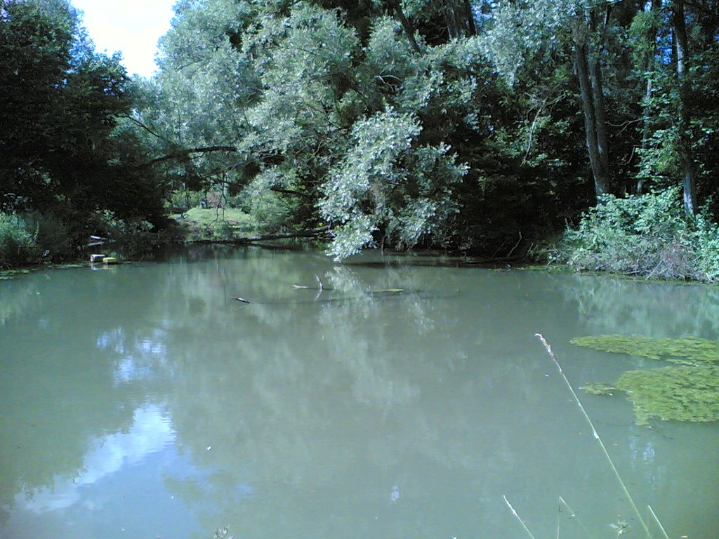 Wallpapers Nature Rivers - Torrents rivire en bourgogne