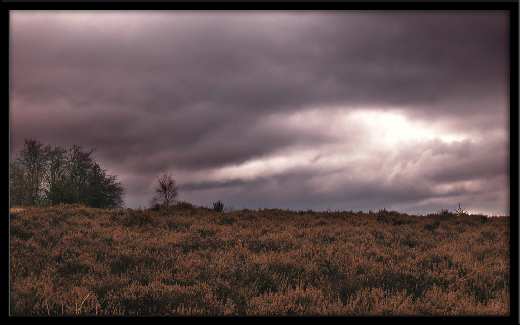 Fonds d'cran Nature Paysages Lande