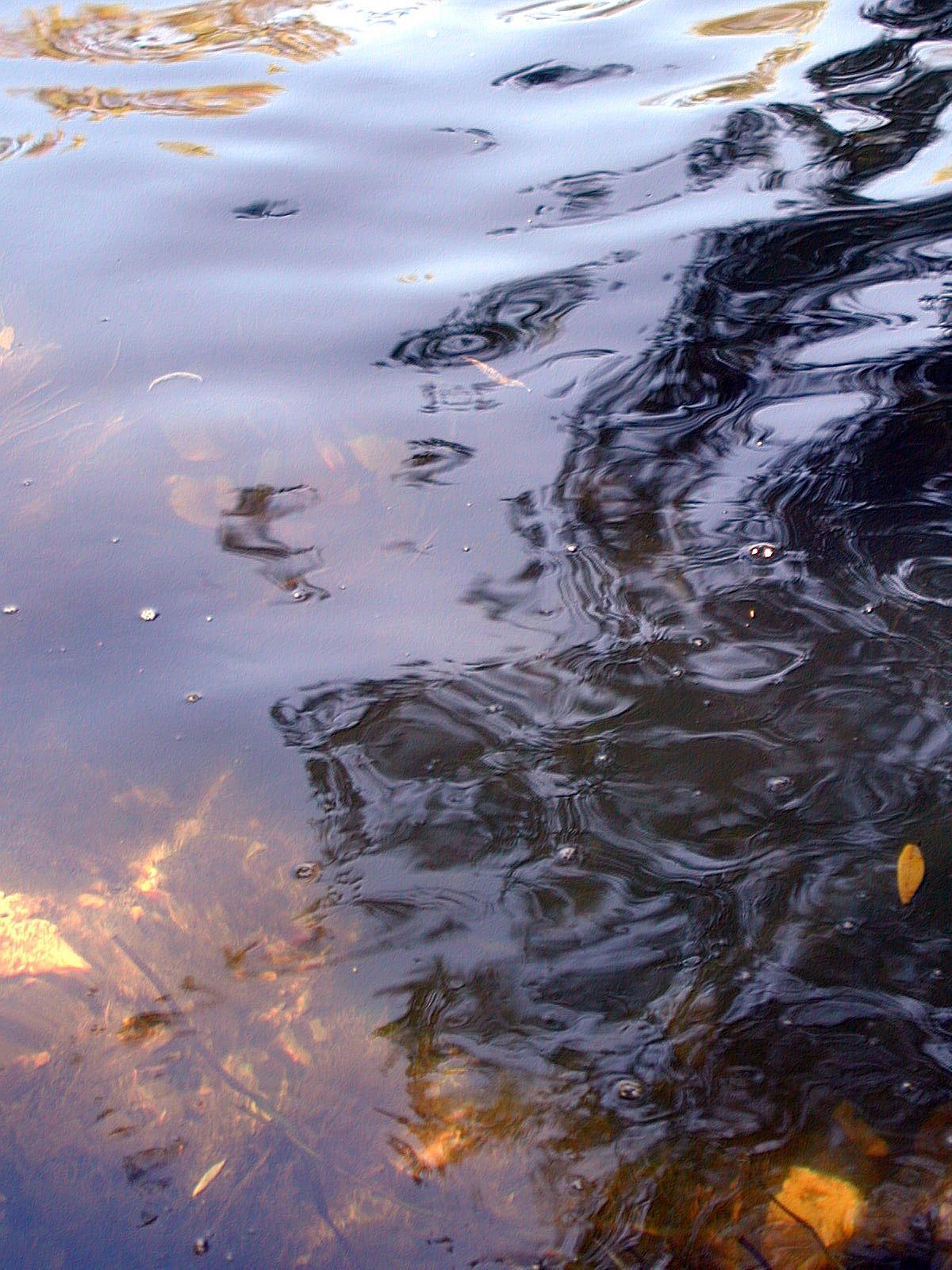 Wallpapers Nature Water - Reflection Reflets