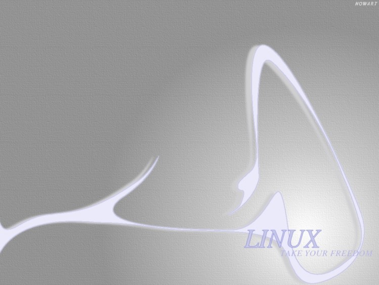 Fonds d'cran Informatique Linux Wallpaper N130127