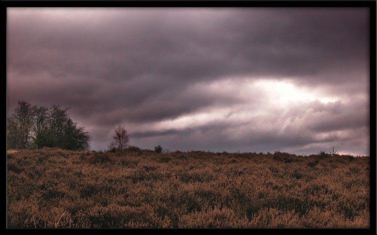 Fonds d'cran Nature Paysages Lande