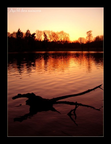 Fonds d'cran Nature Couchers et levers de Soleil Un soir de janvier