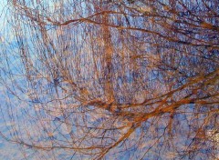 Fonds d'cran Nature Reflets