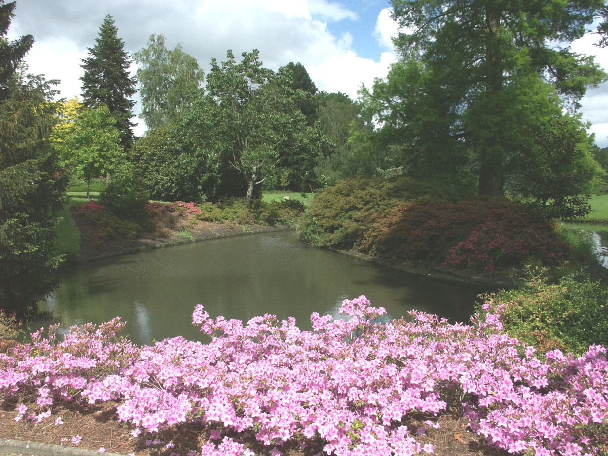 Wallpapers Nature Parks - Gardens Parc floral de Nantes