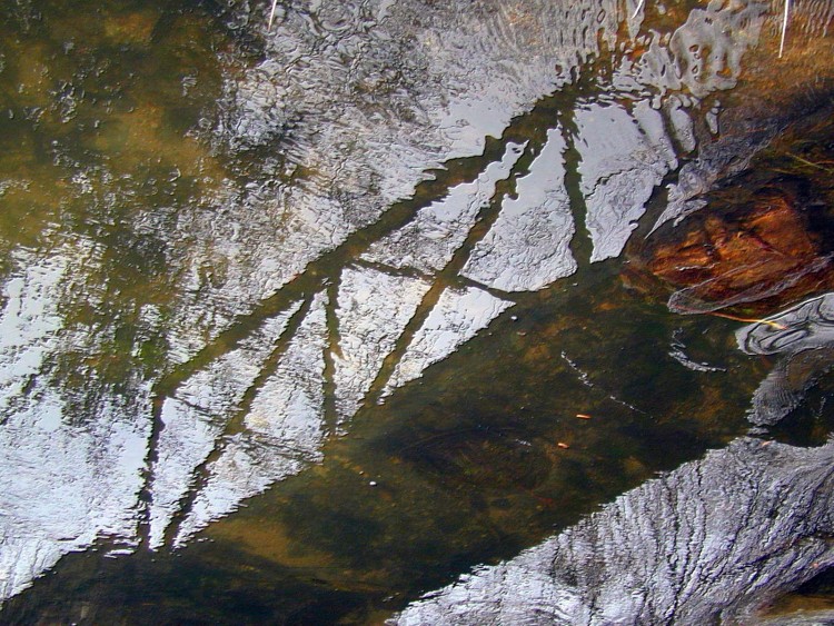 Wallpapers Nature Water - Reflection Reflets