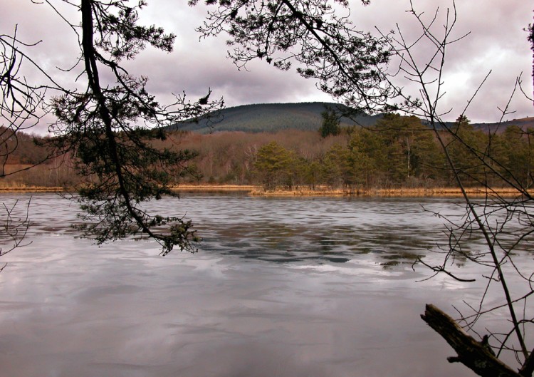 Wallpapers Nature Lakes - Ponds Etang de Ganezande