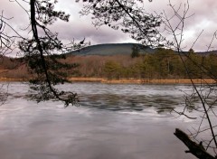 Fonds d'cran Nature Etang de Ganezande