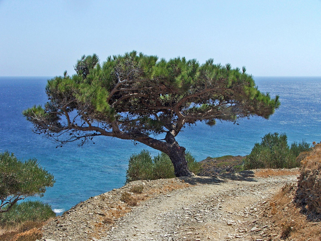 Fonds d'cran Voyages : Europe Grce Ile de Karpathos (Grce)